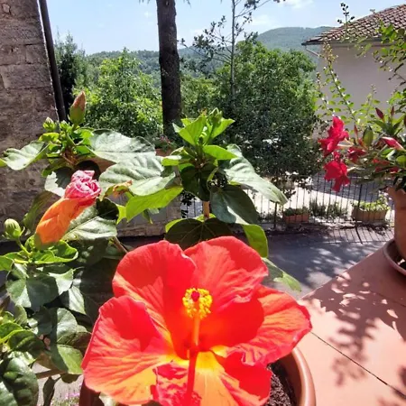 Casa Badia Apartman Radda in Chianti