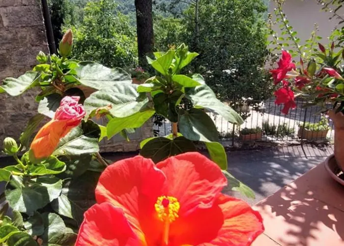Casa Badia Daire Radda in Chianti